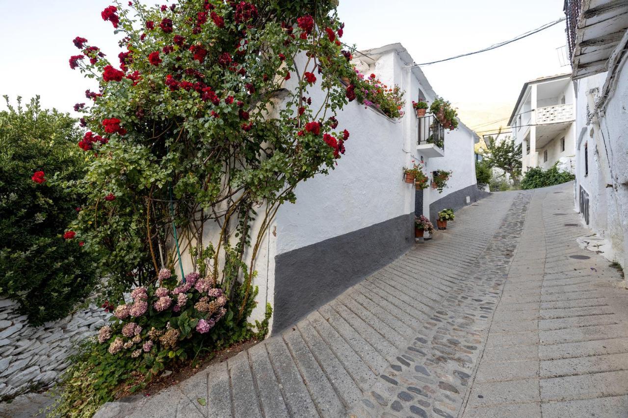 Casa Rural El Fuerte De Atabuey Trevélez 外观 照片